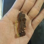 พระฤาษีเหยียบเมฆ ไม้แก่นมะขาม หลวงพ่อบ๊ะ วัดโพธิลังกา