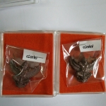 ครุฑนวโลหะ พิมพ์ใหญ่ รุ่น เปิดขุมทรัพย์ อ.วราห์ วัดโพธิทอง ปี 60