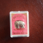 ช้างพลายประกายแก้ว เนื้ออัลปาก้า วัดพระพุทธบาทถ้ำป่าไผ่