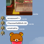 หลากหลายความคิดเห็นจากลูกค้า