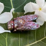 พญาแมลงภู่คำกายสิทธิ์ เนื้อกายสิทธิ์สุริยันราชา เสก ๑๖ พิธี หลวงพ่อเล็ก วัดท่าขนุนเสก