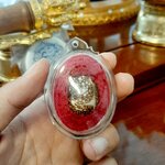 เบี้ยแก้บรรจุปรอทแท้ตามธรรมชาติ รุ่นแรก วัดนาเดื่อ (เลี่ยมแล้วไม่มีใบฝอย)คณาจารย์สายวัดท่าซุง