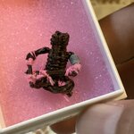 พ่อหุ่น หุ่นพยนต์ (มัดชมพู) อ.ปี่ สมาน แจ้งเจริญ