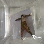 หุ่นพยนต์สีแดง รุ่น 2 ลพ.หนุน