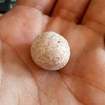 "ลูกอมผงมหากาฬ" ที่เข้าสมโภชที่ตักหลวงปู่ (พิธีพระอาทิตย์ทรงกลด) นำเข้าพิธี ลพ.เล็ก พุทธาภิเษก