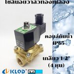 โซลีนอยวาล์วทองเหลือง ขนาด 1/2 นิ้ว ปกติปิด (NC) 2/2 คอยล์กันน้ำ IP65 (AC220V, AC24V, DC24V, DC12V)