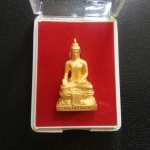 พระไพรีพินาศ (1.5cm) เข้ากรรมฐาน 3 วัน