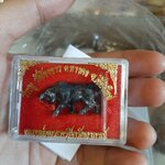 วัวธนู วัดโขงขาว ลพ.ฤาษีลิงดำร่วมเสก