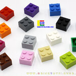 BRT022 ตัวต่ออิสระสีเดียวขนาด 2x2 ปุ่ม น้ำหนัก 100 กรัมบรรจุ 75 ชิ้น