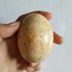 ไข่พญากาเผือก ลพ.สนิท (ทันยุค)จารหน้าหลัง