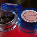 ยาวาสนาจินดามนี ปลุกเสก 9 วาระ (จำนวนจำกัด)