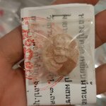 หลวงปู่ทวด หลวงพ่อเอก สำนักสงฆ์เขาธัมมสรณ์