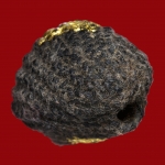 เบี้ยแก้หลวงตาเผือด วัดมะกอก หลังตระกรุดกันงู จากเว็บวัดท่าขนุน