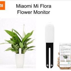 Xiaomi Flower Care Smart Monitor-เครื่องมือช่วยดูแลต้นไม้ (International Version)