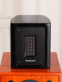 Black Piano Super Tweeter T3 ( Ribbon Tweeter ) รุ่นล่าสุด Gen 6 ช่วยเพิ่ม มิติ เวที ปลายเสียงให้กว้างพริ้วไกล**ร้านไทย พร่อมส่ง**