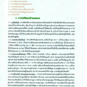 ปลูกมะละกอ ตามระบบโปรพลัส