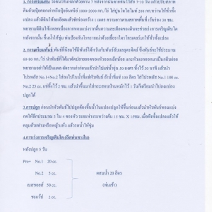 ปลูกหอมแบ่ง ตามระบบโปรพลัส