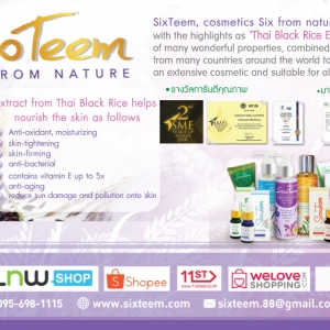 SixTeem Detail all product English