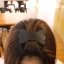 ที่ติดผม แผ่นแปะผม แบบ ตีนตุ๊กแก สีดำ (ในห่อมี 2 ชิ้น) ขายส่ง แพ็ค 10 ห่อ