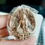 ชุดของขวัญ 3 องค์ พระไภษัชยคุรุพระพุทธเจ้า พระพุทธ้จ้าหมอยา วัดแม่ทราย จ.แพร่ ลพ.เล็ก ร่วมเสก
