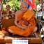 เสือโปร่งฟ้า(สาริกา) No.177 (1 ใน 250 ตัว) ลป.แก่น วัดเขื่อนท่าทุ่งนาประชาสรรค์ ปี 58