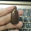 เหรียญพระร่วงกวาดลาน (มวลสารแผ่นยันต์มหาสะท้อน ลพ.เล็ก) วัดบึงลาดสวาย