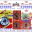 คลัท