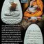 พระผงนั่งเมฆเลื่อนยศติดเกศา จีวร หลวงปู่ศิลา (คู่ละ4,600) แยก 2,500 บาท