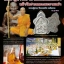 เต่านะหน้าทอง(เนื้อชิน) ล.ป.นาค วัดดอนเสือ อุดผงว่านดอกทองมหาเสน่ห์