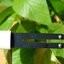 Xiaomi Flower Care Smart Monitor-เครื่องมือช่วยดูแลต้นไม้ (International Version)