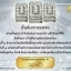พระแก้วแดง (ชุบทอง) หลวงตาม้า วัดถ้ำเมืองนะ