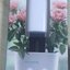 Xiaomi Flower Care Smart Monitor-เครื่องมือช่วยดูแลต้นไม้ (International Version)