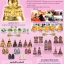 เบ็ญจภาคีมหามงคล พระยอดขุนพลเนื้อชิน ศิริราช 100 ปี (No.7445 หมด) เหลือหมายเลขอื่นค่ะ