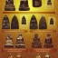หลวงปู่ทวดเนื้อเมฆสิทธิ์ รุ่น นะโภคทรัพย์ ปี 53 (เพื่องานบุญ)